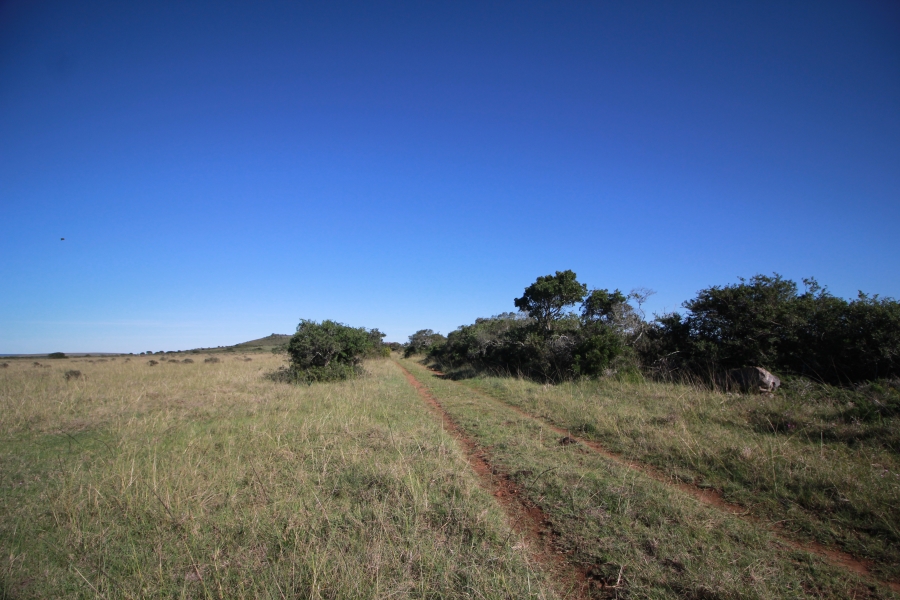 0 Bedroom Property for Sale in Mossel Bay Rural Western Cape